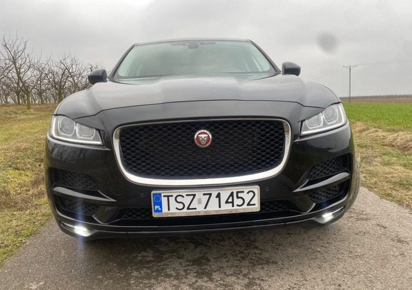 Jaguar F-Pace cena 79999 przebieg: 186000, rok produkcji 2016 z Staszów małe 704